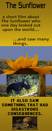 The Sunflower